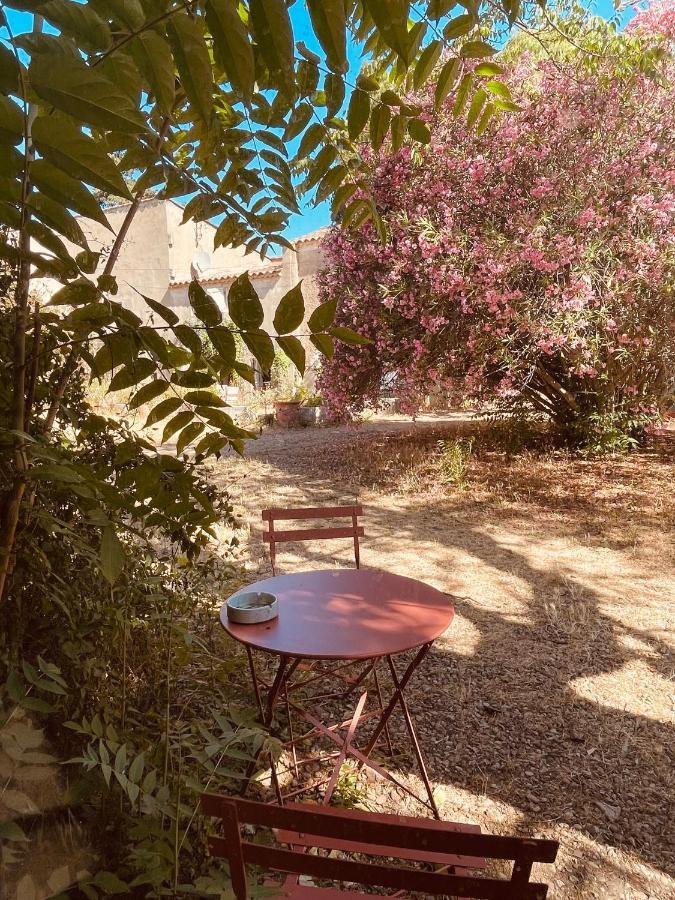 Tres Belle Rotonde Deco Boheme, Tennis, Parking Nîmes Eksteriør bilde